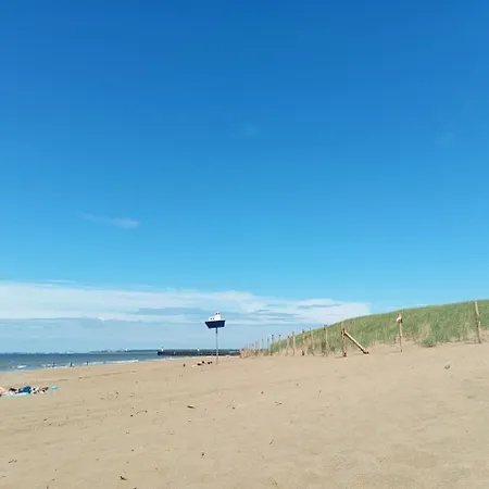 アパート L'olivier, Cosy Entre Et Foret サン・ミシェル・シェフ・シェフ