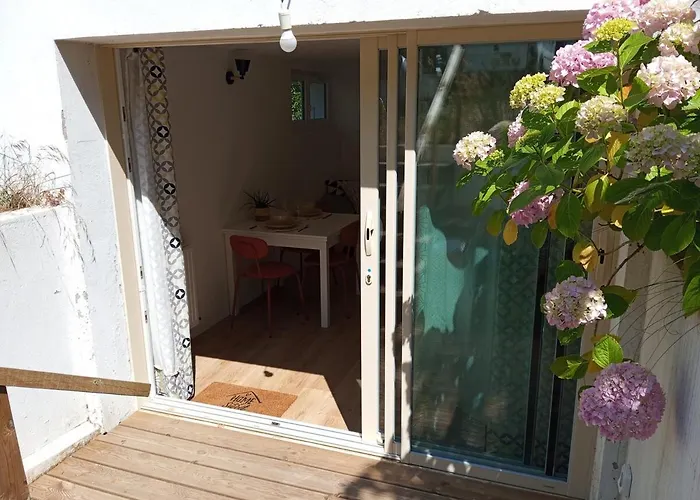 L'olivier, Cosy Entre Et Foret Appartamento