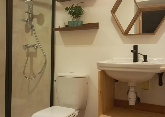 L'olivier, Cosy Entre Et Foret