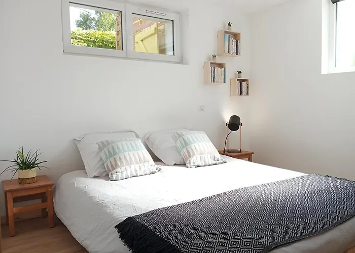 L'olivier, Cosy Entre Et Foret Appartamento